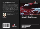 Massoumeh Abbasi, Behnam Farhang Rik, Leila Saedi - Mini rassegna delle strutture nano-attivate