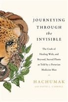 David Carroll, David L Carroll, David L. Carroll, Hachumak, Jorge Hachumak - Journeying Through the Invisible