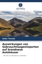 Dziko Thunde - Auswirkungen von Gebrauchtwagenimporten auf brandneue Autohäuser