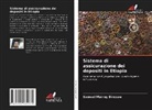 Samuel Maireg Biresaw - Sistema di assicurazione dei depositi in Etiopia