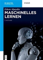Ethem Alpaydin - Maschinelles Lernen