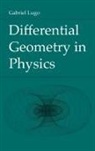 Gabriel Lugo - Differential Geometry in Physics