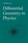 Gabriel Lugo - Differential Geometry in Physics