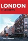 David C. Ramzan - London in Lockdown