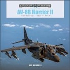 Ken Neubeck - AV-8B Harrier II