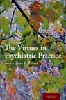 John R. Peteet, John R. (Associate Professor of Psychiatry Peteet, John R. Peteet - Virtues in Psychiatric Practice