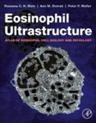 Ann M Dvorak, Ann M. Dvorak, Ann M. (Professor Emerita of Pathology Dvorak, Dvorak Ann M., Rossana (Professor of Cell Biology Melo, Rossana C N Melo... - Eosinophil Ultrastructure