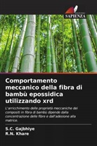 S. C. Gajbhiye, S.C. Gajbhiye, R. N. Khare, R.N. Khare - Comportamento meccanico della fibra di bambù epossidica utilizzando xrd