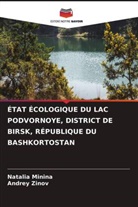 Natalia Minina, Andrey Zinov - ÉTAT ÉCOLOGIQUE DU LAC PODVORNOYE, DISTRICT DE BIRSK, RÉPUBLIQUE DU BASHKORTOSTAN