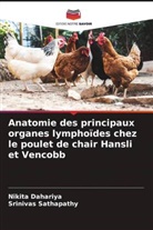 Nikita Dahariya, Srinivas Sathapathy - Anatomie des principaux organes lymphoïdes chez le poulet de chair Hansli et Vencobb