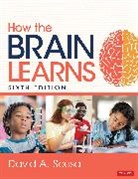 David A. Sousa, David A. A. Sousa, Sousa David A. - How the Brain Learns