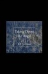 Jeff Friedman - Taking Down the Angel