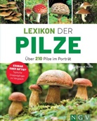 Frank Hecker, Hans Kothe, Hans W (Dr. Kothe, Hans W (Dr.) Kothe, Hans W. Kothe, Frank Hecker... - Lexikon der Pilze - Über 210 Pilze im Porträt
