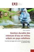 Olivier Combelem - Gestion durable des retenues d'eau en milieu urbain en pays sahéliens