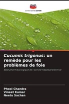 Phool Chandra, Vineet Kumar, Neetu Sachan - Cucumis trigonus: un remède pour les problèmes de foie
