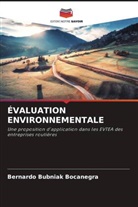 Bernardo Bubniak Bocanegra - ÉVALUATION ENVIRONNEMENTALE
