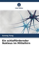 Surong Yang - Ein schlaffördernder Nukleus im Mittelhirn