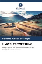 Bernardo Bubniak Bocanegra - UMWELTBEWERTUNG
