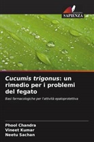 Phool Chandra, Vineet Kumar, Neetu Sachan - Cucumis trigonus: un rimedio per i problemi del fegato