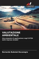Bernardo Bubniak Bocanegra - VALUTAZIONE AMBIENTALE