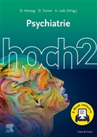 David Herzog, Klaus Lieb, Kl Lieb (Prof. Dr.), Daniel Turner, Danie Turner (Dr. Dr. med.), Daniel Turner (Dr. Dr. med.) - Psychiatrie hoch2 + E-Book