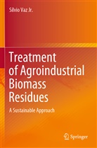 Sílvio Vaz Jr, Sílvio Vaz Jr. - Treatment of Agroindustrial Biomass Residues