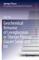 Chao You - Geochemical Behavior of Levoglucosan in Tibetan Plateau Glacier Snow and Ice
