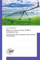 Fritz Joel Ndjeng Asse - Mise en oeuvre d'un SME à SITRACEL SA