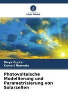 Divy Gupta, Divya Gupta, Kumari Namrata - Photovoltaische Modellierung und Parametrisierung von Solarzellen