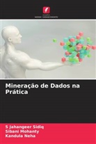 Sibani Mohanty, Kandula Neha, S Jahangeer Sidiq - Mineração de Dados na Prática