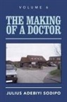 Julius Adebiyi Sodipo - The Making of a Doctor