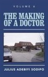Julius Adebiyi Sodipo - The Making of a Doctor