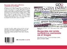 Israel Ávila Lázaro, José Ramón Laines Canepa, José Aurelio Sosa Olivier - Remoción del ácido sulfhídrico contenido en el biogás