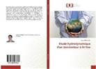 Zouina Berrehrah - Etude hydrodynamique d'un bioréacteur à lit fixe