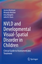 Jessic Broitman, Jessica Broitman, John M. Davis, Amy Margolis, Amy e Margolis, Mirand Melcher... - NVLD and Developmental Visual-Spatial Disorder in Children