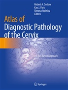 Ka J Park, Kay J Park, Kay J. Park, Robert A. Soslow, Simona Stolnicu - Atlas of Diagnostic Pathology of the Cervix