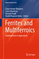 Khalid Mujasam Batoo, Sumi Bhardwaj, Sumit Bhardwaj, Gagan Kumar Bhargava, Mahavir Singh, Mahavir Singh et al - Ferrites and Multiferroics