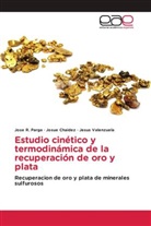 Josue Chaidez, Jose R. Parga, Jesús Valenzuela - Estudio cinético y termodinámica de la recuperación de oro y plata