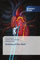 Hamideh Dinari Ghozhdi, Mehrshad Jafari, Ehsan Zarepur - Anatomy of the Heart