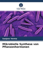 Sanjeev Verma - Mikrobielle Synthese von Pflanzenhormonen