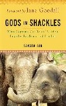 Sangita Iyer - Gods in Shackles