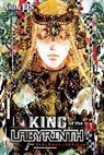 Shien Bis, Luke Hutton, Noriko Meguro, Shien BIS, Shienbishop - King of the Labyrinth, Vol. 3 (light novel)