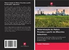 Daniel Makwata - Determinação de Metais Pesados a partir de Efluentes Industriais