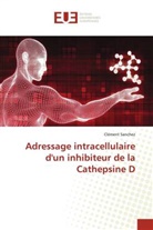 Clément Sanchez - Adressage intracellulaire d'un inhibiteur de la Cathepsine D