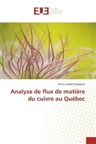 Ulrich Landry Compaore - Analyse de flux de matière du cuivre au Québec