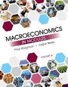 Paul Krugman, Robin Wells - Macroeconomics in Modules