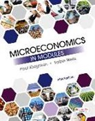 Paul Krugman, Robin Wells - Microeconomics in Modules