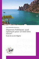 Salim Badreddine Benloulou - Dépenses Publiques: quel optimum pour un bien-être social?