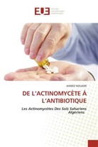 Ahmed Nouasri - DE L'ACTINOMYCÈTE Á L'ANTIBIOTIQUE