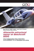 Brian Steven Ladino Valdés, Daniel Esteban Mejía Jimenez, Daniel Mora Córdoba - Alteración estructural menor en Beechcraft B300